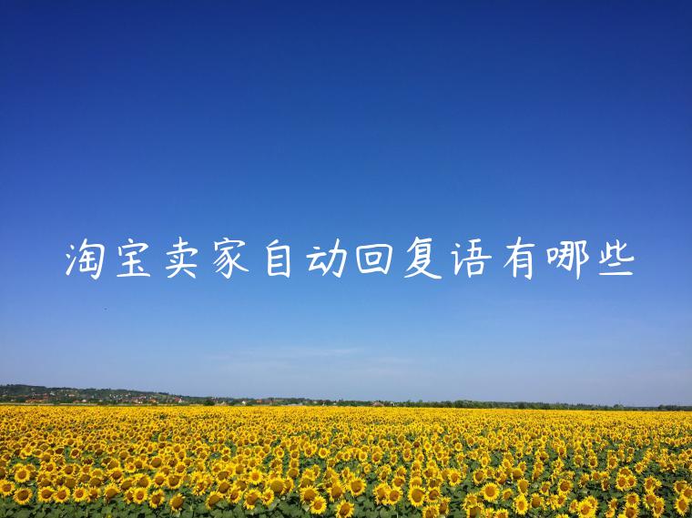 淘寶賣家自動(dòng)回復(fù)語(yǔ)有哪些